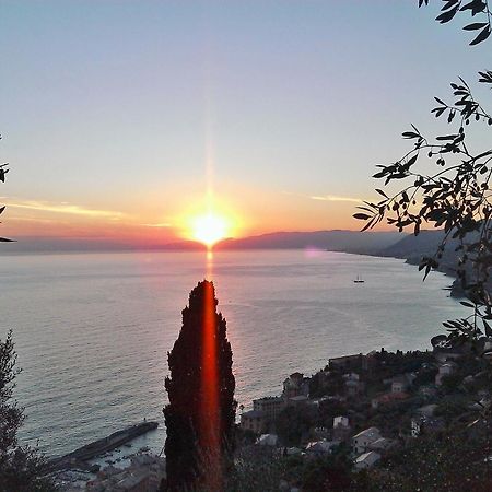 Villetta Sul Mare Camogli Ngoại thất bức ảnh