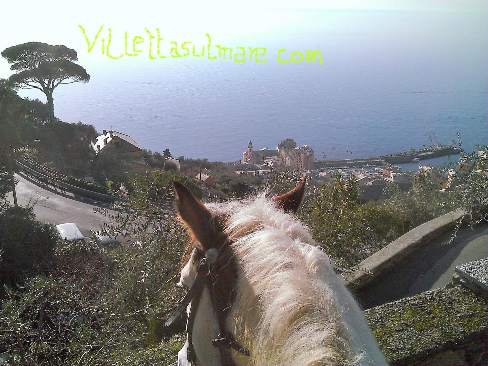 Villetta Sul Mare Camogli Ngoại thất bức ảnh